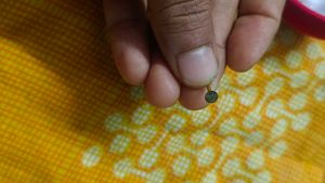 Gold Nose Pin