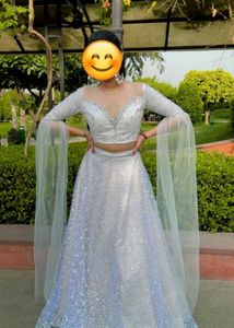 Elegant Silver Lehenga Choli Set