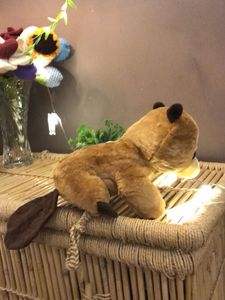 Cute Beaver Plush Set