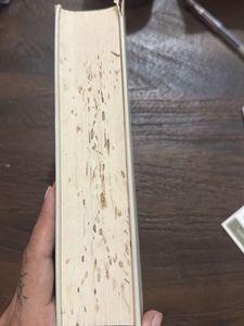 Little Dorrit by Charles Dickens