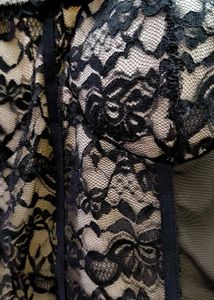 Lace Bustier Top