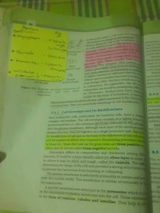 NCERT