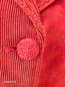 Red Corduroy Blazer
