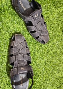 Walkaroo Sandals