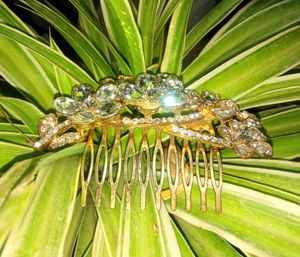 Hair Queen Clip