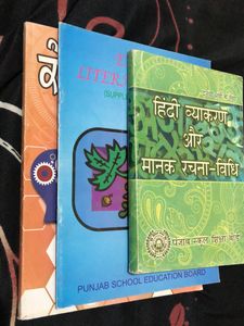 PSEB Class 10th English Literature, Hindi , CS