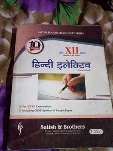 Class XII Hindi Elective Guide