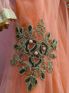Net Embroidered Gown.