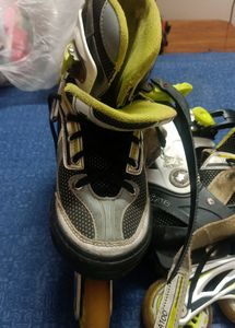 Inline/Linear Skates