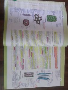 NCERT Class 11 Biology