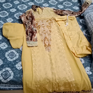 biscut colour suit with tiger print sleaves one day offer