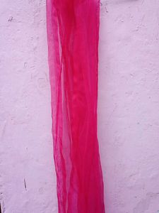 Beautiful  Pink Lehnga..