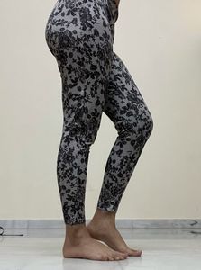 Dmax Veans Comfy Pant
