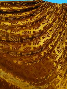 Shiny Shaneel Golden Mustered Color