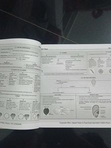 NCERT Maps for NEET Botany