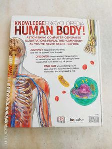 Human Body Encyclopedia - DK