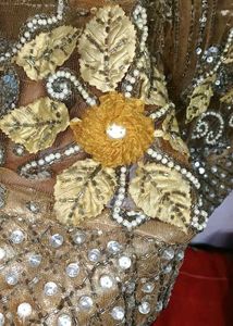 Gorgeous Lehenga Choli
