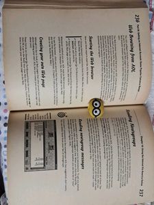 The Internet for Dummies 4th Edition