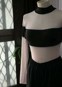 Sheer Panel Crop Top