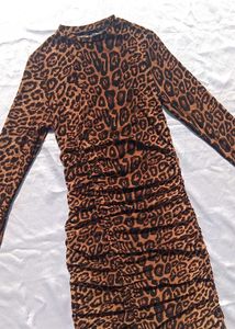 Sheer Cheetah Print Dress