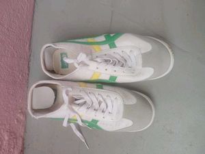 shoe