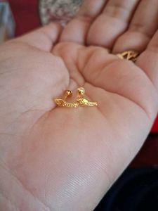 Beautiful New Flower Desine Studs