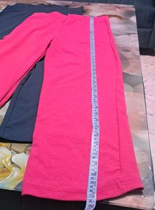 Straight Fit Pant