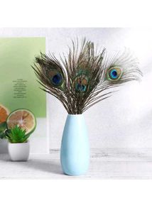Natural Peacock Feather(15 Feathers)