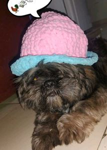 bucket hat 👒