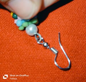 Multi Colour Beautiful Earrings