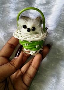 Cute Puppy in Basket Keychain