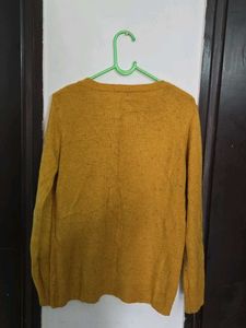 Cute Mustard Mouse Print Sweate size Mr