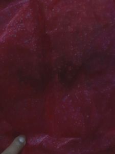 Organza Fabric
