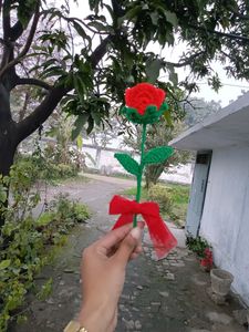 Crocheted Rose 🌹