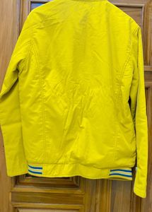 Yellow Jacket