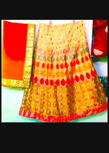 Women Butterfly Lehenga Choli Same As Picture