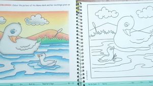 1+1 COMBO 🔥ART &amp; CRAFT,COLOURING &amp; DRAWING BOOK 📚