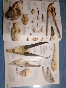 Genral Knowledge Book