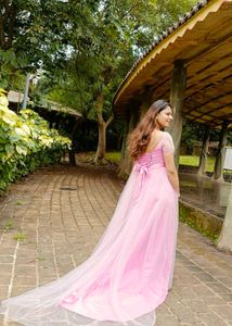 Elegant Baby Pink Gown