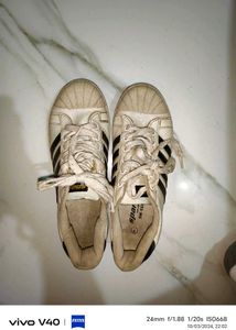 Sparx White Sneaker