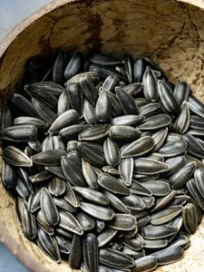 Sunflower Seeds