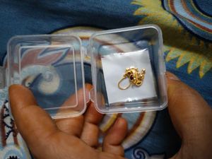 Gold Plated Noespin