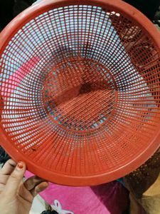 Plastic Daliya
