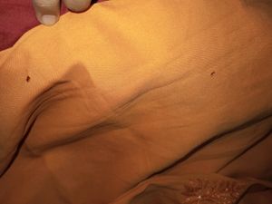 Beautiful Embroidered Kurta With Dupatta.