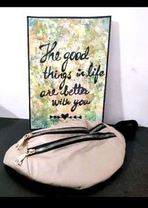 Trendy Waist Bag