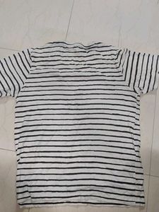 Buffalo Striped Graphic T- Shirt