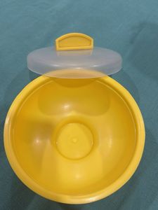 Curling Rock Food Container