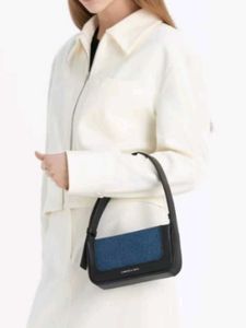 Charles &amp; Keith Bag