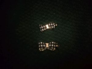 Chequered Charm Clips