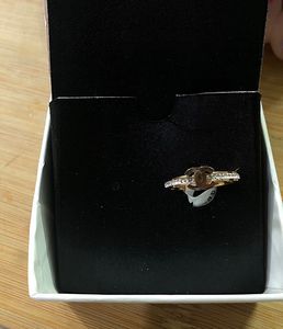 Gold Plated Elegant Ring 💍